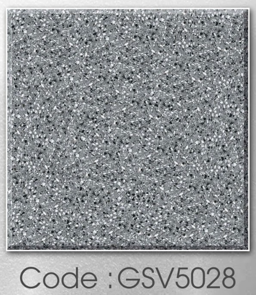 GSV5028